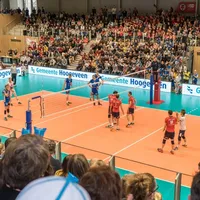 Volleybalspelers heren