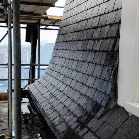 Dakdeel Fons Vitea Lyceum