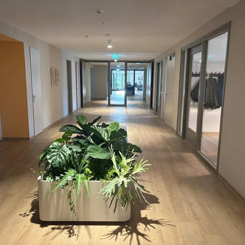 Zorgorganisatie Dichterbij in Horst gang met planten bak