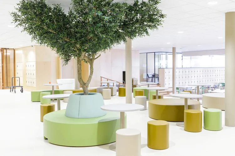 De Vries Svd W 241024 3469 verkleind