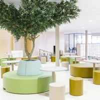 De Vries Svd W 241024 3469 verkleind