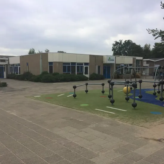 Leonardus 2 2000x1500