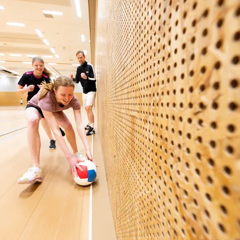 Sportfoto handbal in gymzaal bij akoestische wandpaneel - Z8 DSC 8370