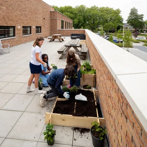 Dakterras kinderen tuinieren IKC Pijnacker Noord foto Vincent van der Hoven 7891