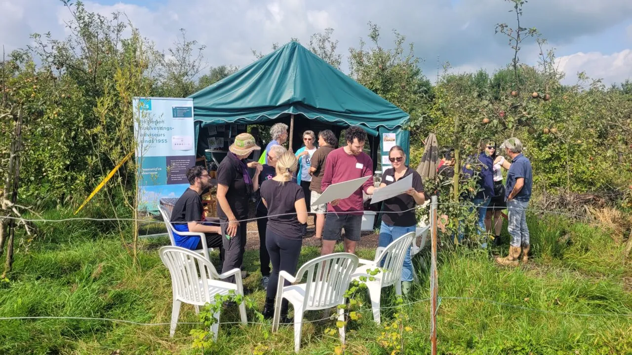open dag velics tent