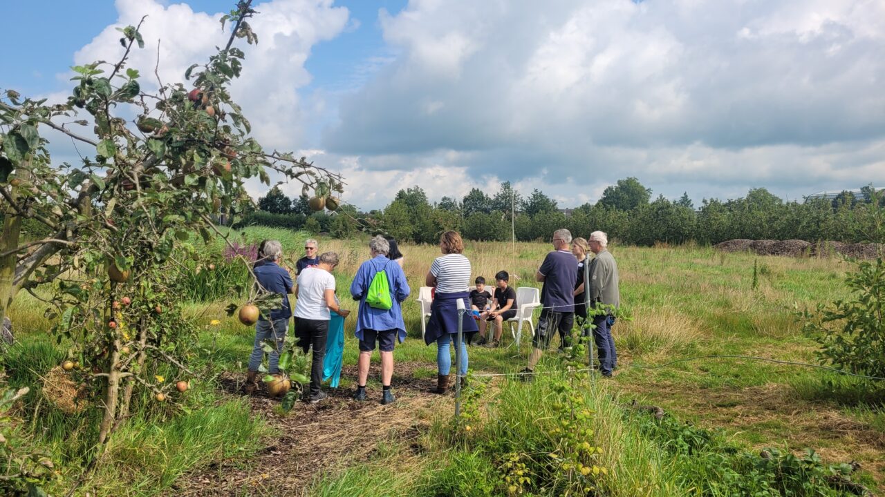 open dag velics grote groep