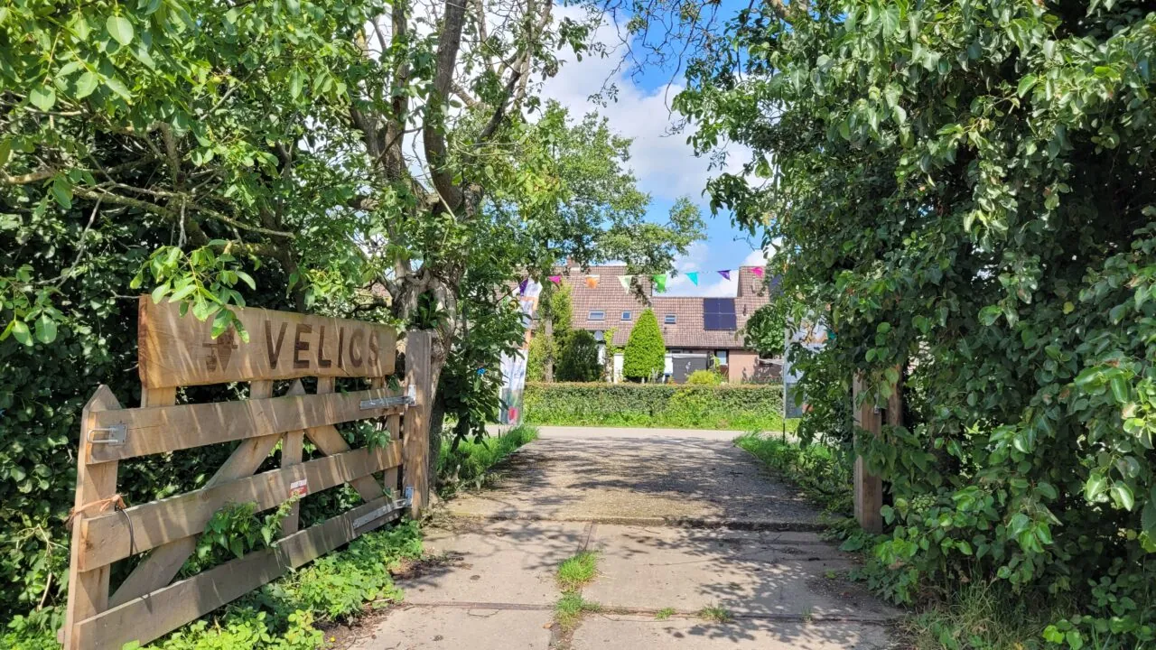 brug hek velics